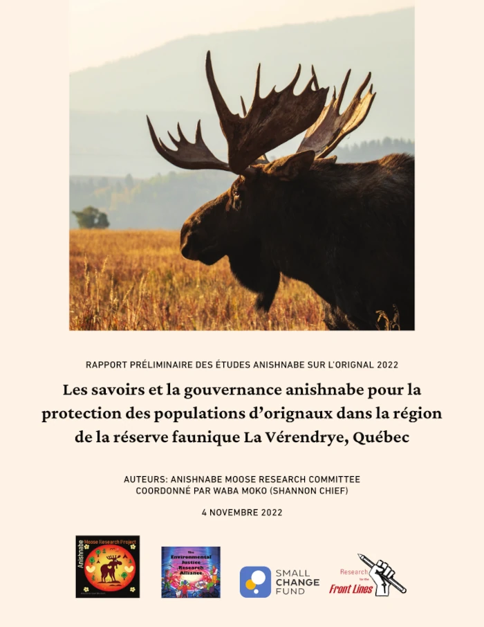 Rapport préliminaire des études anishnabe sur l’orignal 2022